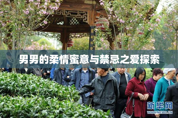 男男的柔情蜜意与禁忌之爱探索