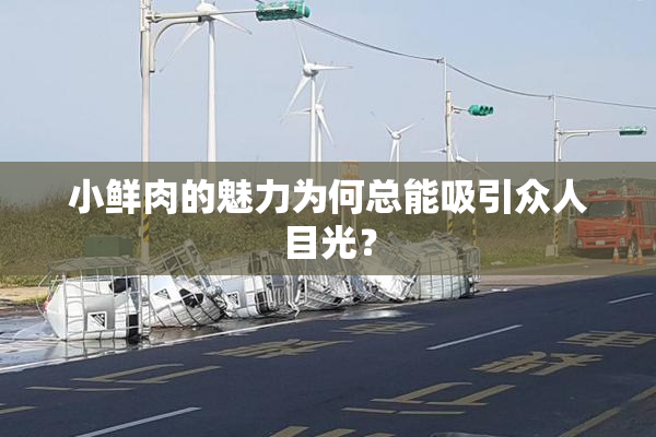 小鲜肉的魅力为何总能吸引众人目光？
