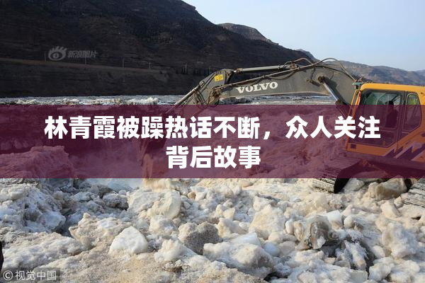林青霞被躁热话不断，众人关注背后故事