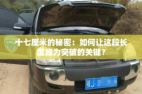 十七厘米的秘密：如何让这段长度成为突破的关键？