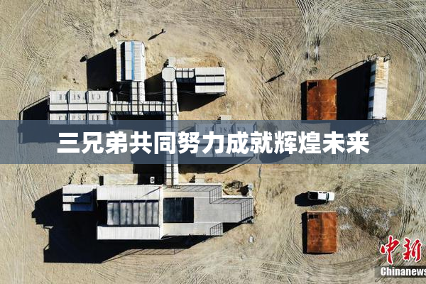 三兄弟共同努力成就辉煌未来