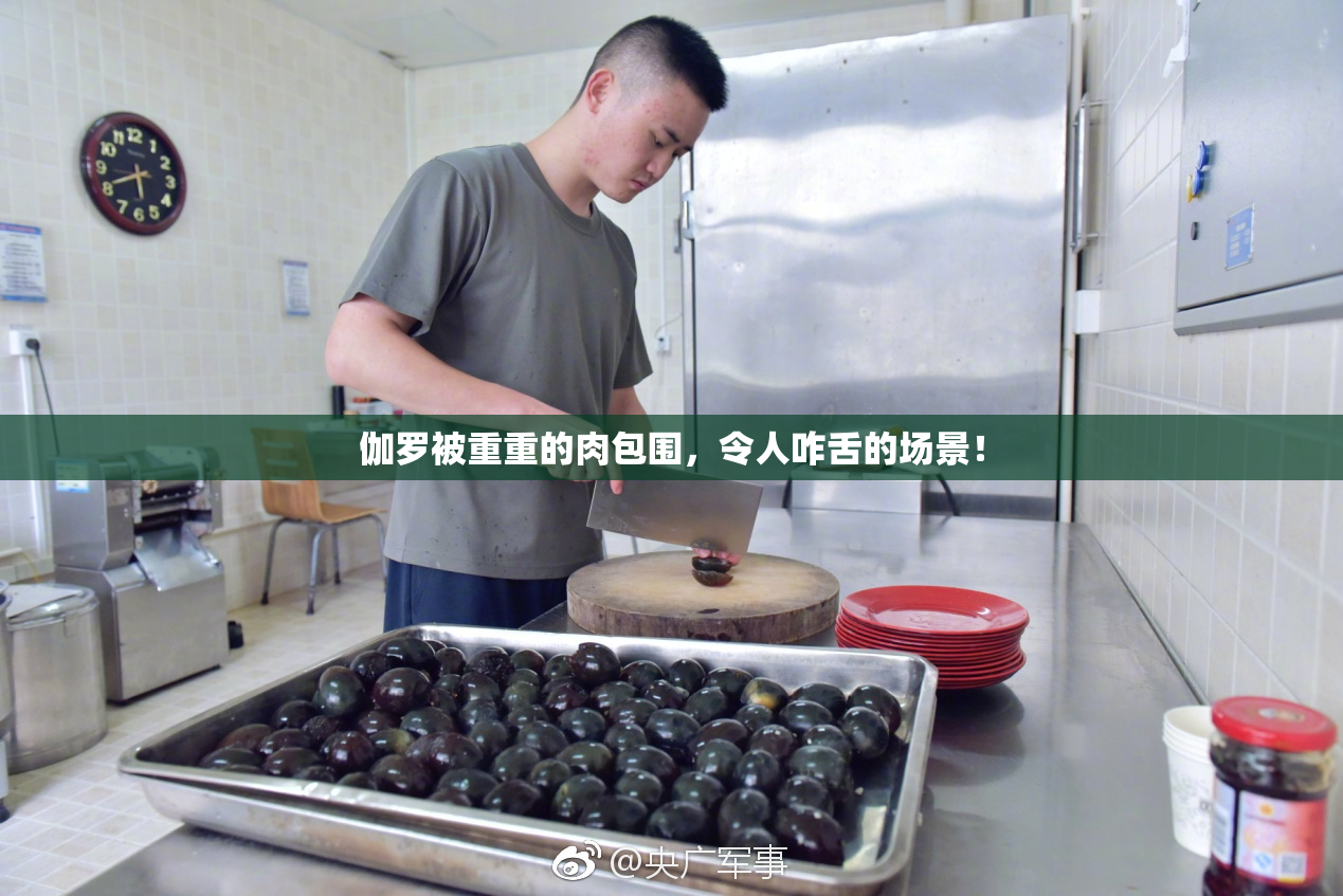 伽罗被重重的肉包围，令人咋舌的场景！