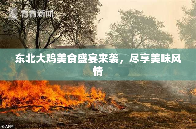 东北大鸡美食盛宴来袭，尽享美味风情