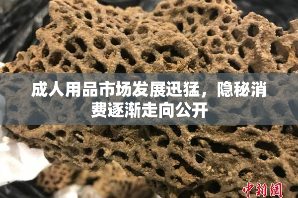 成人用品市场发展迅猛，隐秘消费逐渐走向公开
