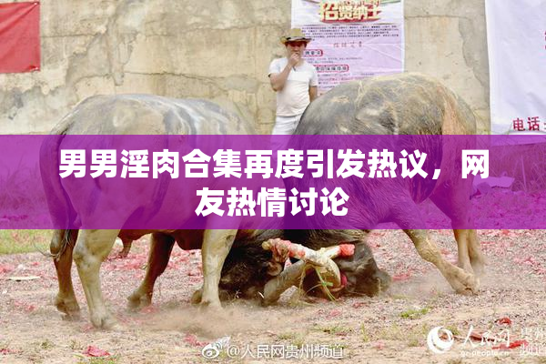男男淫肉合集再度引发热议，网友热情讨论
