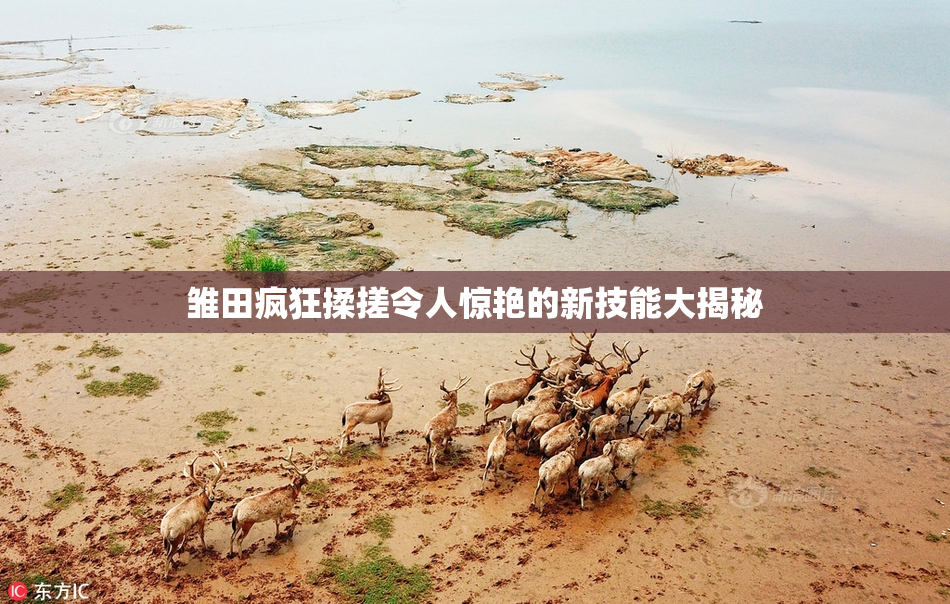 雏田疯狂揉搓令人惊艳的新技能大揭秘