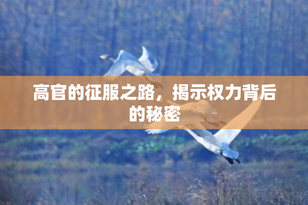 高官的征服之路，揭示权力背后的秘密