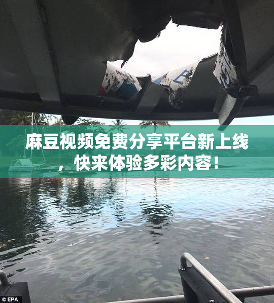 麻豆视频免费分享平台新上线，快来体验多彩内容！
