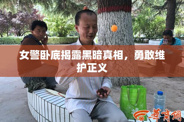 女警卧底揭露黑暗真相，勇敢维护正义