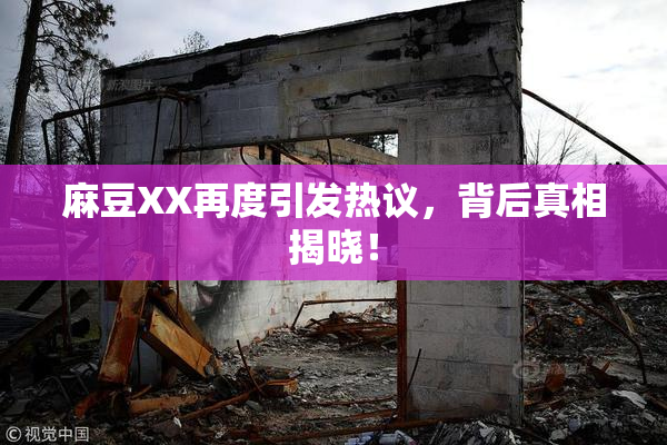 麻豆XX再度引发热议，背后真相揭晓！