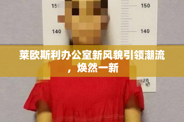莱欧斯利办公室新风貌引领潮流，焕然一新