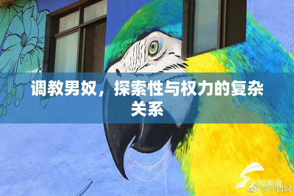 调教男奴，探索性与权力的复杂关系