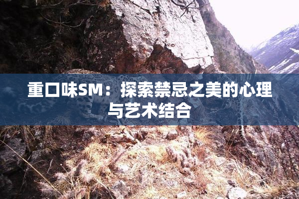重口味SM：探索禁忌之美的心理与艺术结合