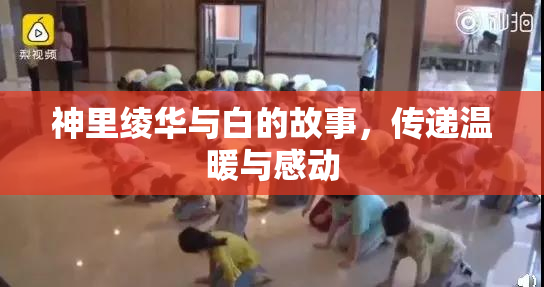 神里绫华与白的故事，传递温暖与感动