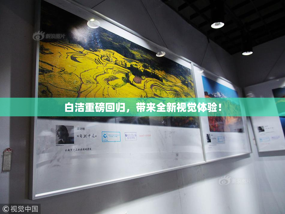 白洁重磅回归，带来全新视觉体验！