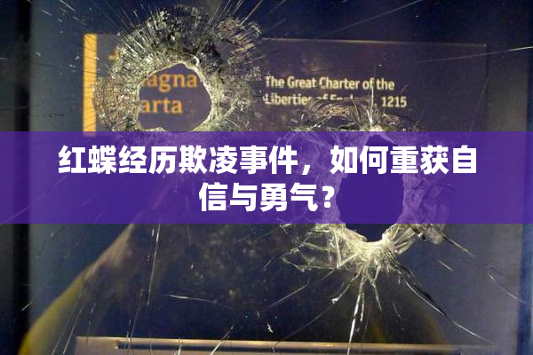 红蝶经历欺凌事件，如何重获自信与勇气？
