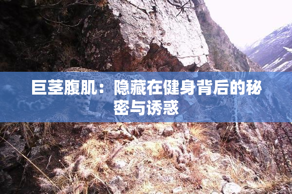 巨茎腹肌：隐藏在健身背后的秘密与诱惑