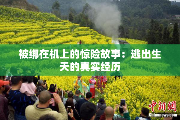 被绑在机上的惊险故事：逃出生天的真实经历