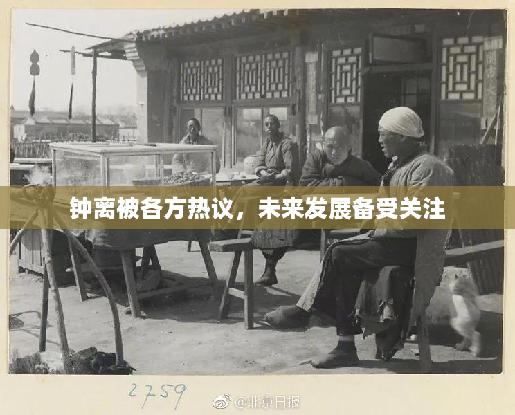 钟离被各方热议，未来发展备受关注