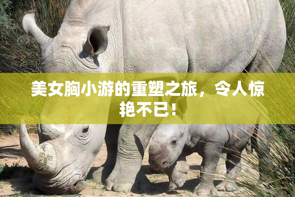 美女胸小游的重塑之旅，令人惊艳不已！