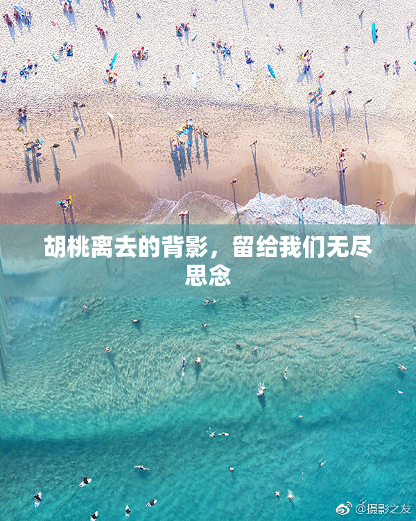 胡桃离去的背影，留给我们无尽思念