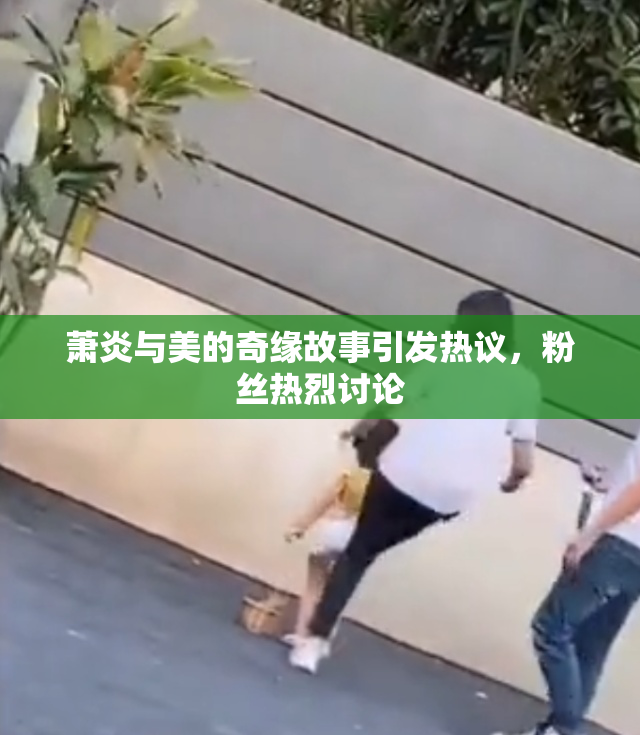 萧炎与美的奇缘故事引发热议，粉丝热烈讨论