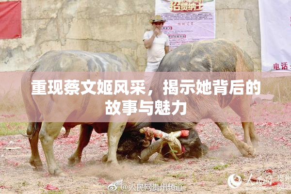 重现蔡文姬风采，揭示她背后的故事与魅力