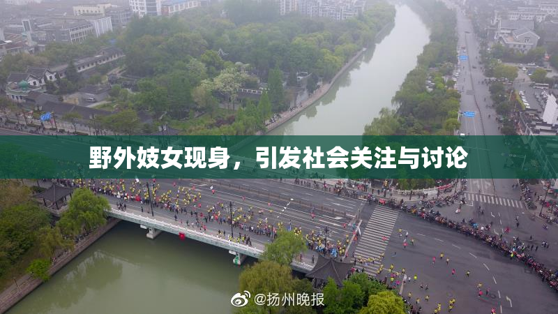 野外妓女现身，引发社会关注与讨论