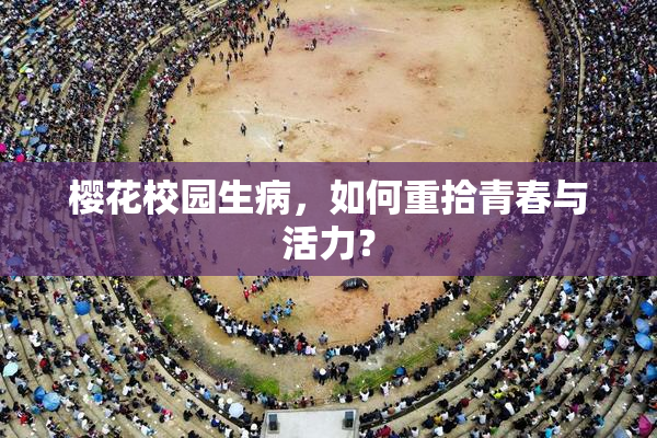 樱花校园生病，如何重拾青春与活力？