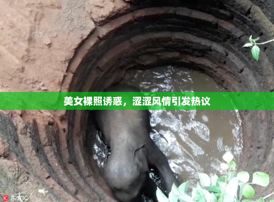 美女裸照诱惑，涩涩风情引发热议