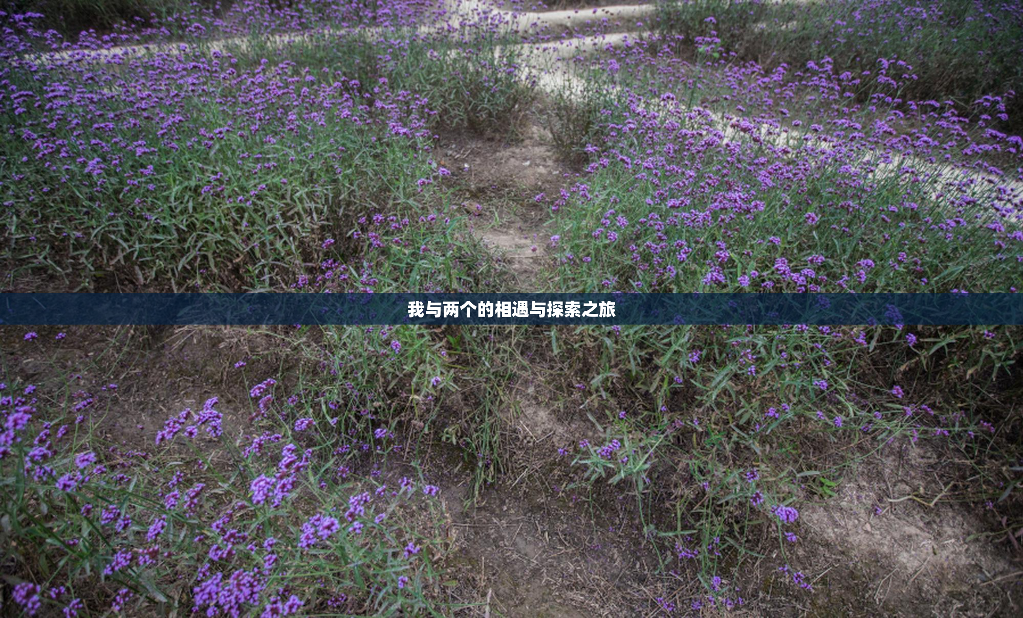 我与两个的相遇与探索之旅