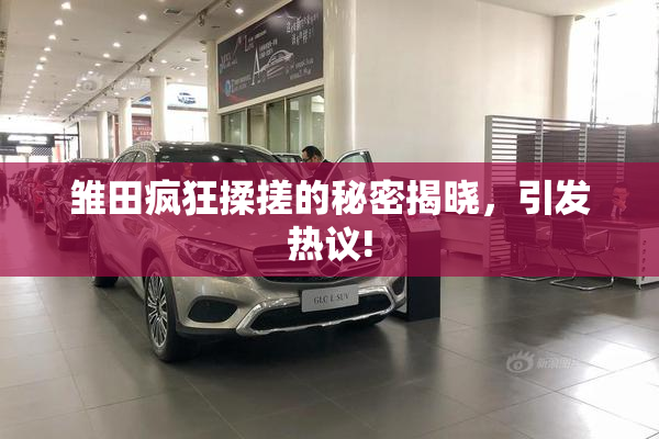 雏田疯狂揉搓的秘密揭晓，引发热议!